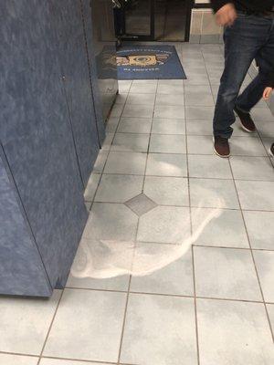 Customers trying to avoid slips with constant water spillage