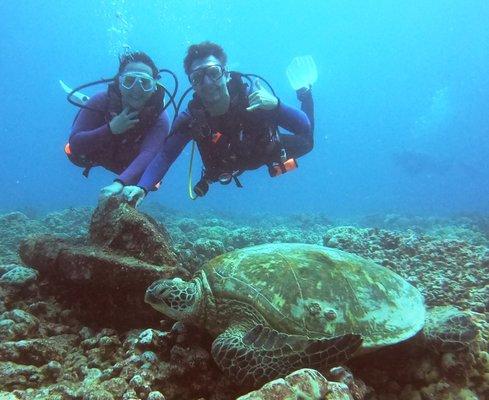 Honolulu Honu Divers