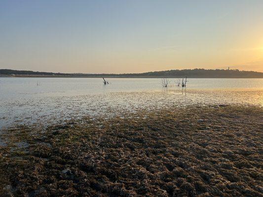 Really mucky walk in to water if you choose to go in from the boat ramp