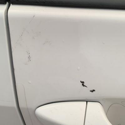 Windshield sealant on door