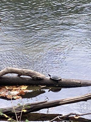 Oconee River Greenway