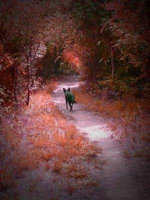 Dillon in Baltimore Canyon