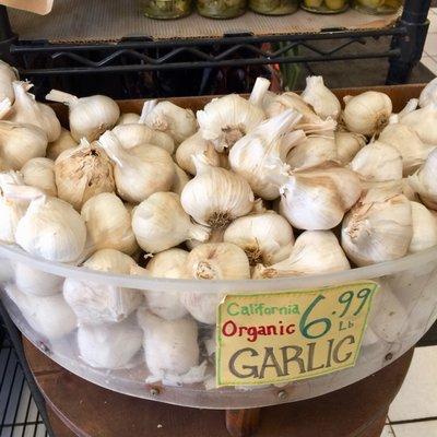 Fresh garlic