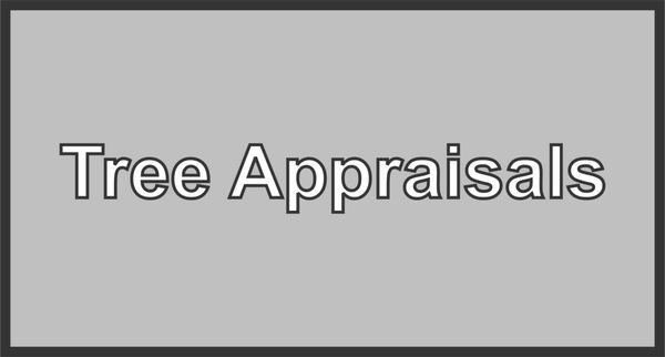 We can provide the tree appraisals you need if your municipality requires a tree security deposit before building permits are issued.