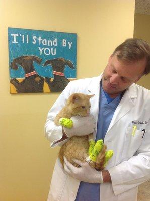 Dr. William Carlisle and rescued cat Arrow whose paws were badly burned after being put in a hot oven as punishment for scratching someone.