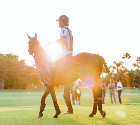 Sunset Polo Club