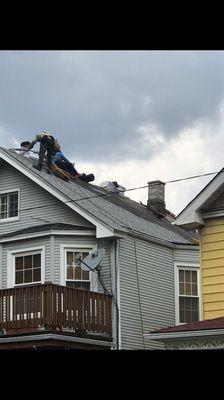 New GAF three dimensional shingle