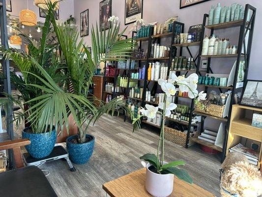 Earthy, harmony, warm and peaceful feeling inside the salon