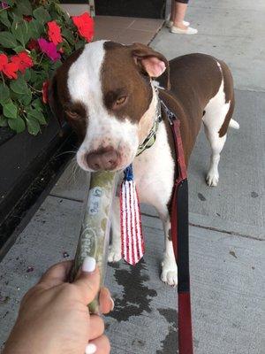 Delicious frozen treat for my pup.  Friendly staff and very pet friendly, too.