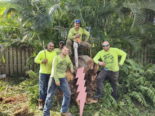 Lightning Tree Service