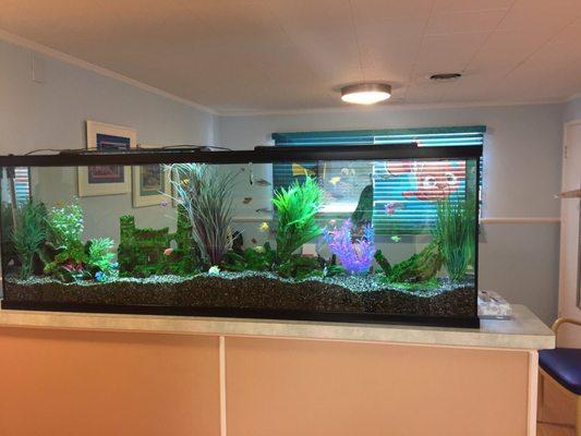 Fish tank