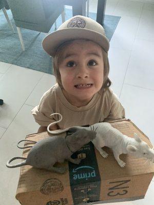 My son wanted to play 'rat trapper' and Orlando gave him this hat and shirt he really loves!