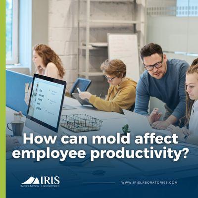 The presence of mold creates an unsafe work environment and can even increase employee stress and decrease productivity