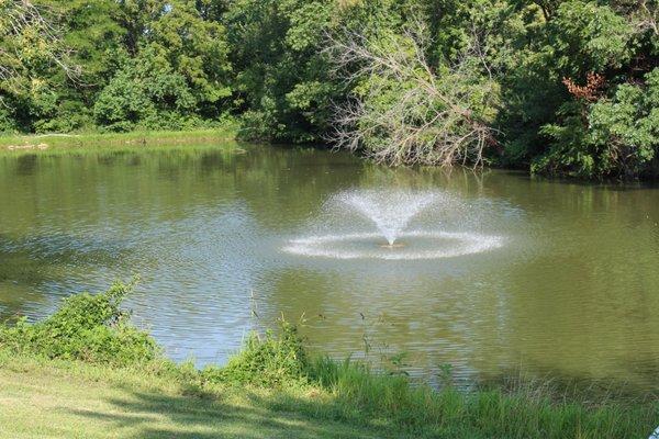 Fishing Pond