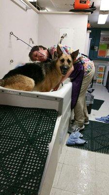 Self-Service dogwash or have one of our groomers do it for you