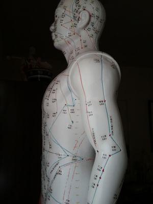 acupuncture points & channels