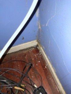 Mold and cracks in wall and on floor.