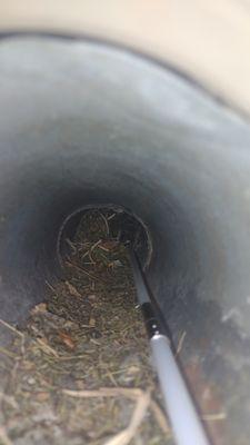 Dryer vent cleaning