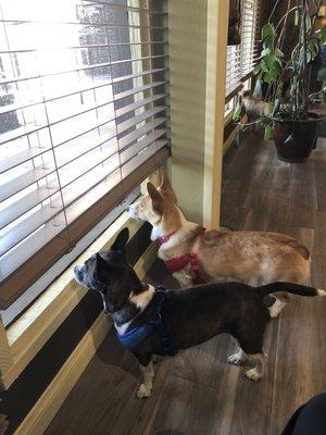 3 girls being nosey