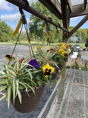 Fall Hanging Baskets