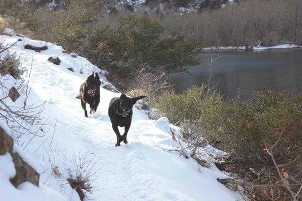 This is how our children play and enjoy the Eastern Sierra.