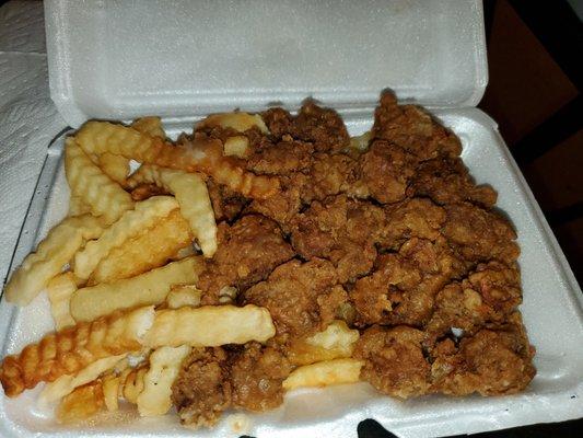 Chicken Gizzards w/ fries