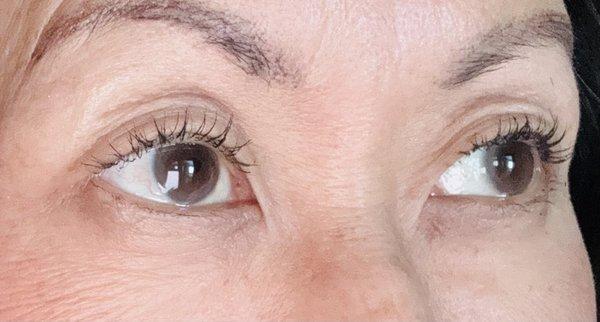 Keratin Lash Lift with Tint