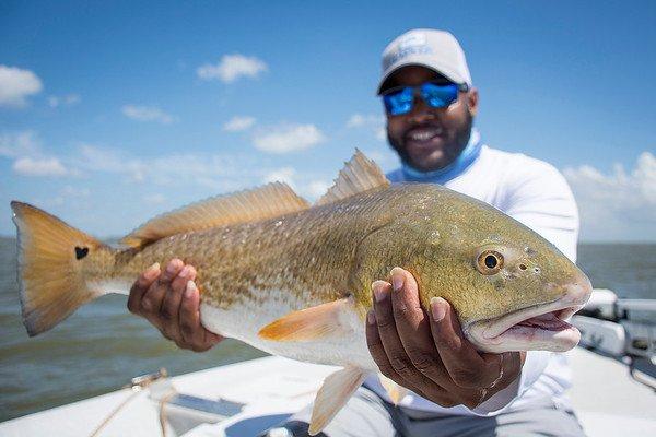 Check out our bay fishing trips for Redfish