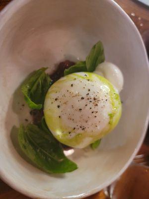 burrata