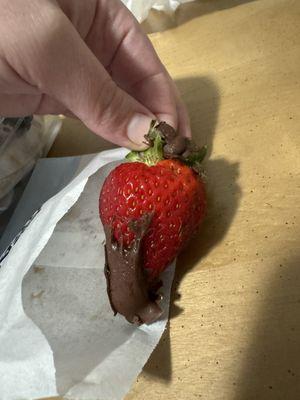 Pitiful chocolate covered strawberry