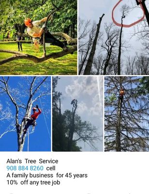 Alan's Tree Service