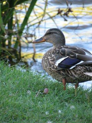 Nature surrounds us!