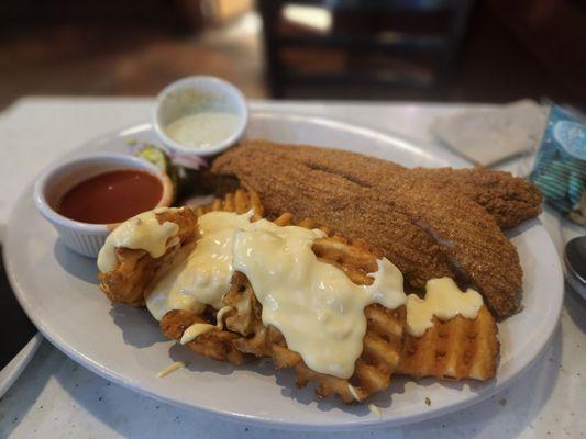 Catfish meal + fries add cheese sauce