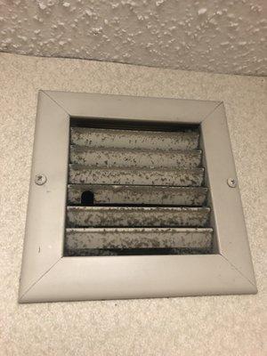 Bathroom vent