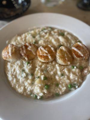 George's banks scallops and English pea and crab risotto