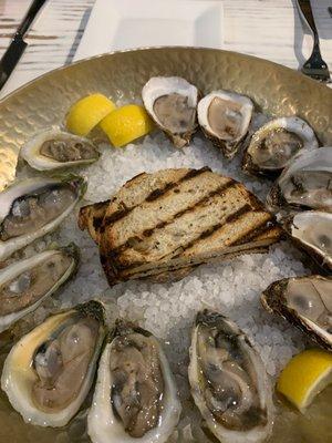 Oysters