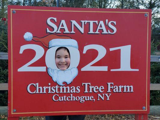 Santas Christmas Tree Farm