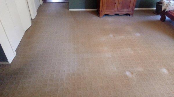 This is our dining room where the fading and discoloration is shown by the placement of our table and a runner that we use only periodically