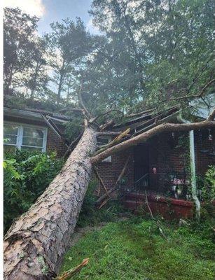 770 Arborist Emergency Tree & Crane Service