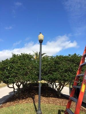 Repairing street lights