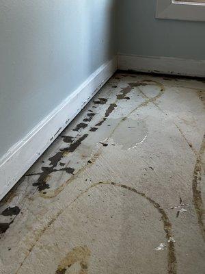 water standing on floor coming from under wall