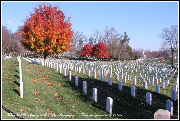 Arlington National Cemetery