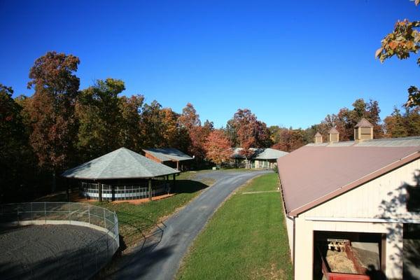 Main Barn on the right with the Lodge beyond