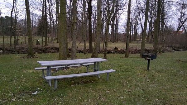 picnic tables and grills are randomly arranged