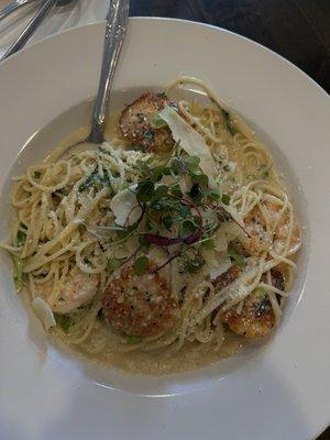 Scallops