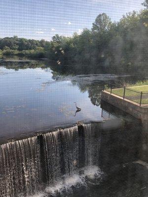 Fishing for breakfast