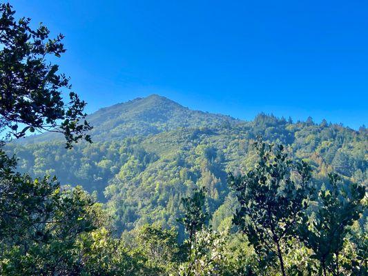 Baltimore Canyon