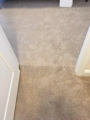 2 colors of carpet in same room