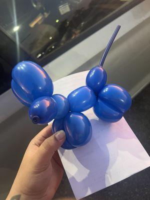 Cute balloon animal Dr.meltzer made my son