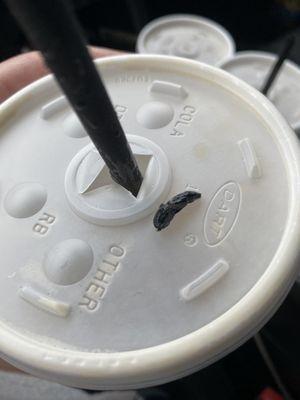 Bug after I pulled it out of shake